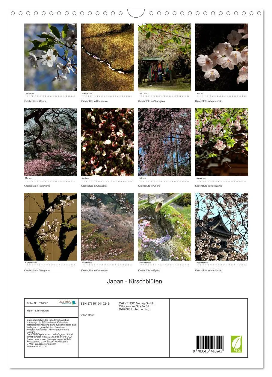 Bild: 9783516410242 | Japan - Kirschblüten (Wandkalender 2026 DIN A3 hoch), CALVENDO...