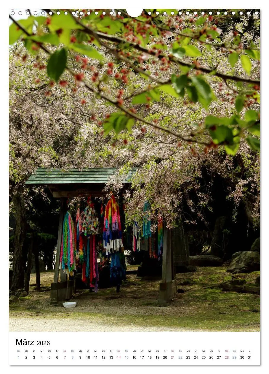 Bild: 9783516410242 | Japan - Kirschblüten (Wandkalender 2026 DIN A3 hoch), CALVENDO...
