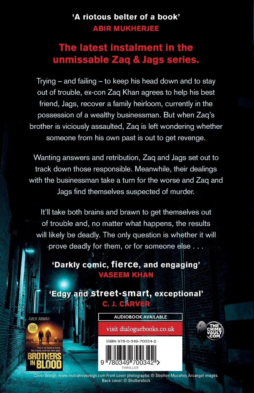 Rückseite: 9780349700342 | Stone Cold Trouble | Amer Anwar | Taschenbuch | Englisch | 2023