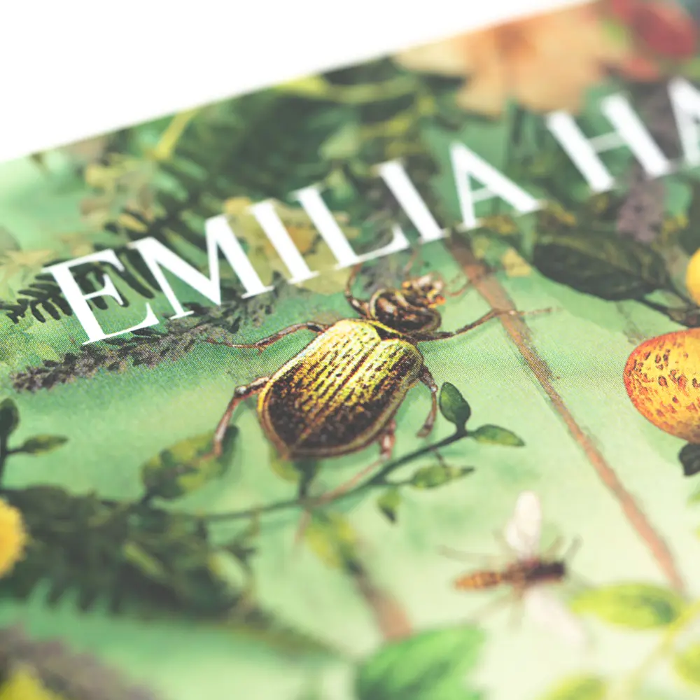 Bild: 9783365000342 | Die Unbändigen | Emilia Hart | Buch | 416 S. | Deutsch | 2023
