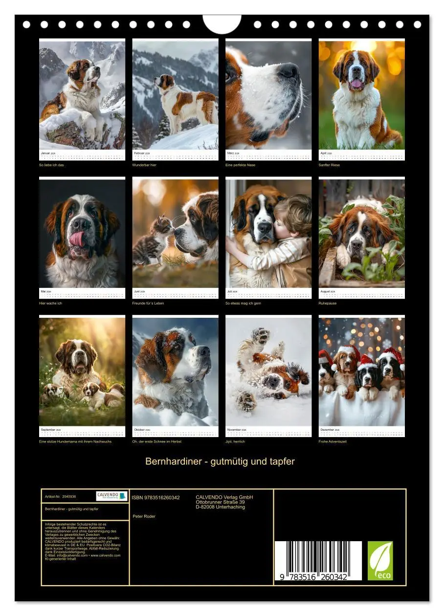 Bild: 9783516260342 | Bernhardiner - gutmütig und tapfer (Wandkalender 2026 DIN A4 hoch),...