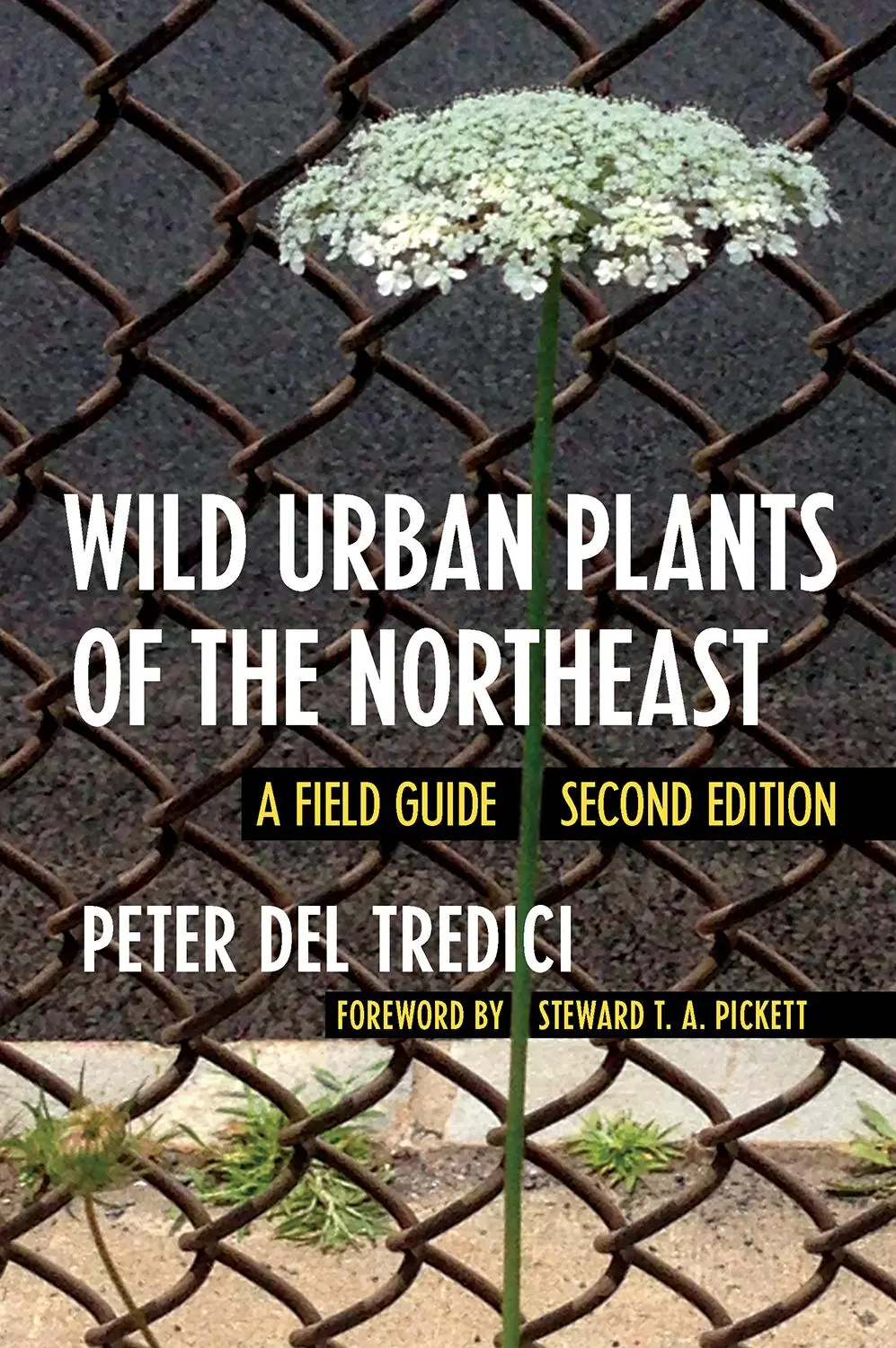 Cover: 9781501740442 | Wild Urban Plants of the Northeast | A Field Guide | Peter Del Tredici