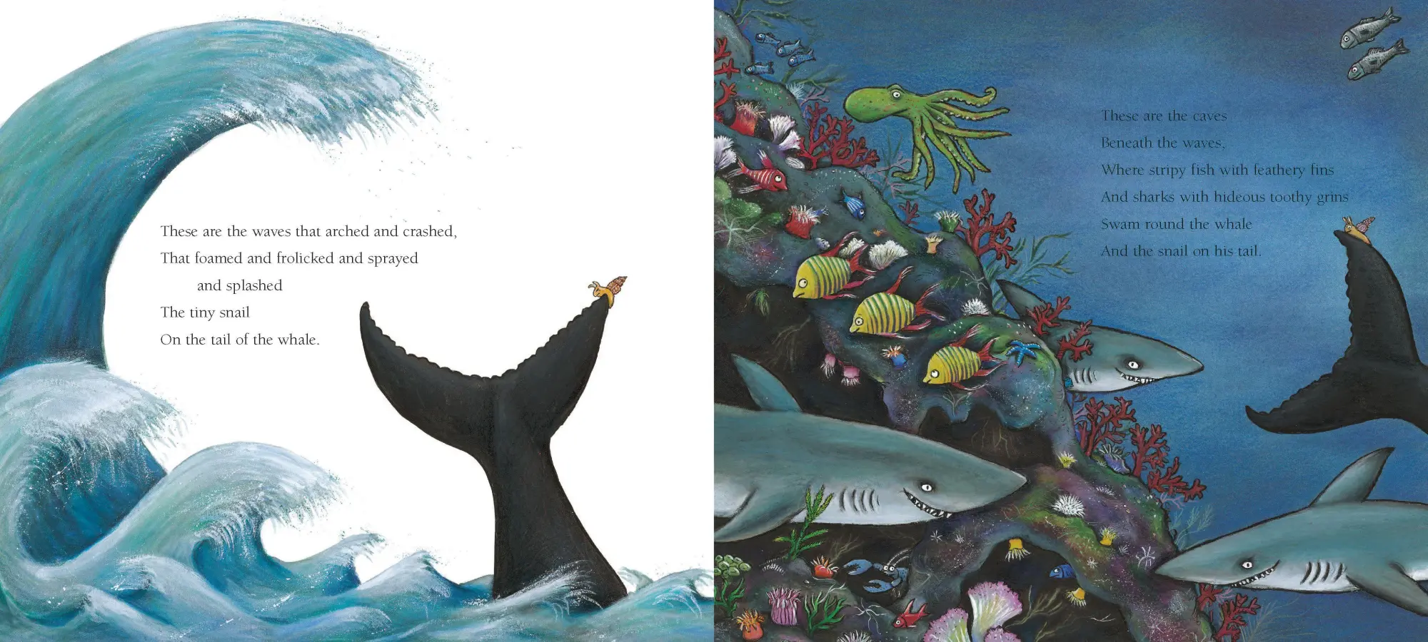 Bild: 9781509830442 | The Snail and the Whale | Julia Donaldson | Buch | Campbell Books