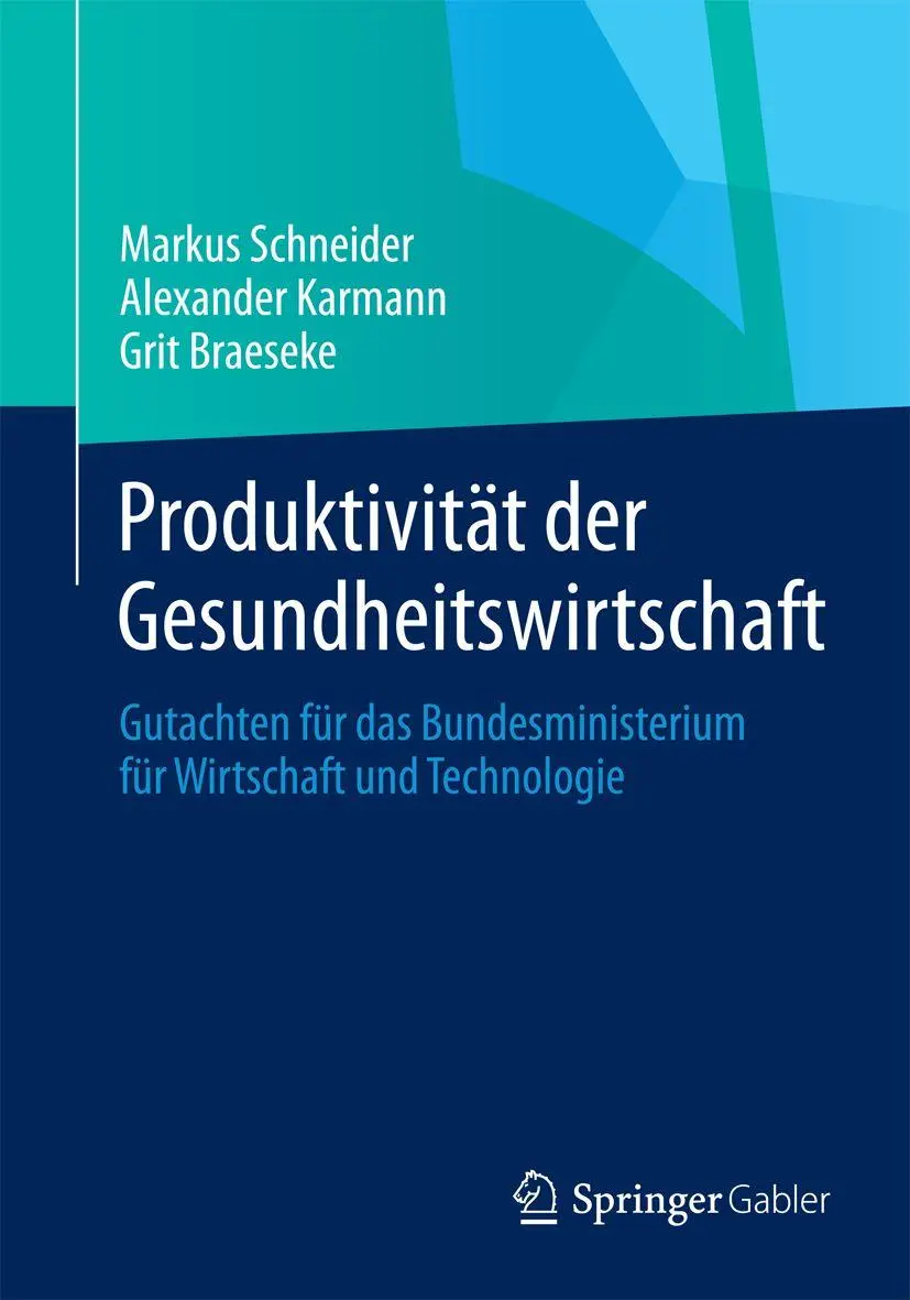 Produktivität der Gesundheitswirtschaft - Markus Schneider Alexander Karmann Grit Braeseke Kartoniert (TB)