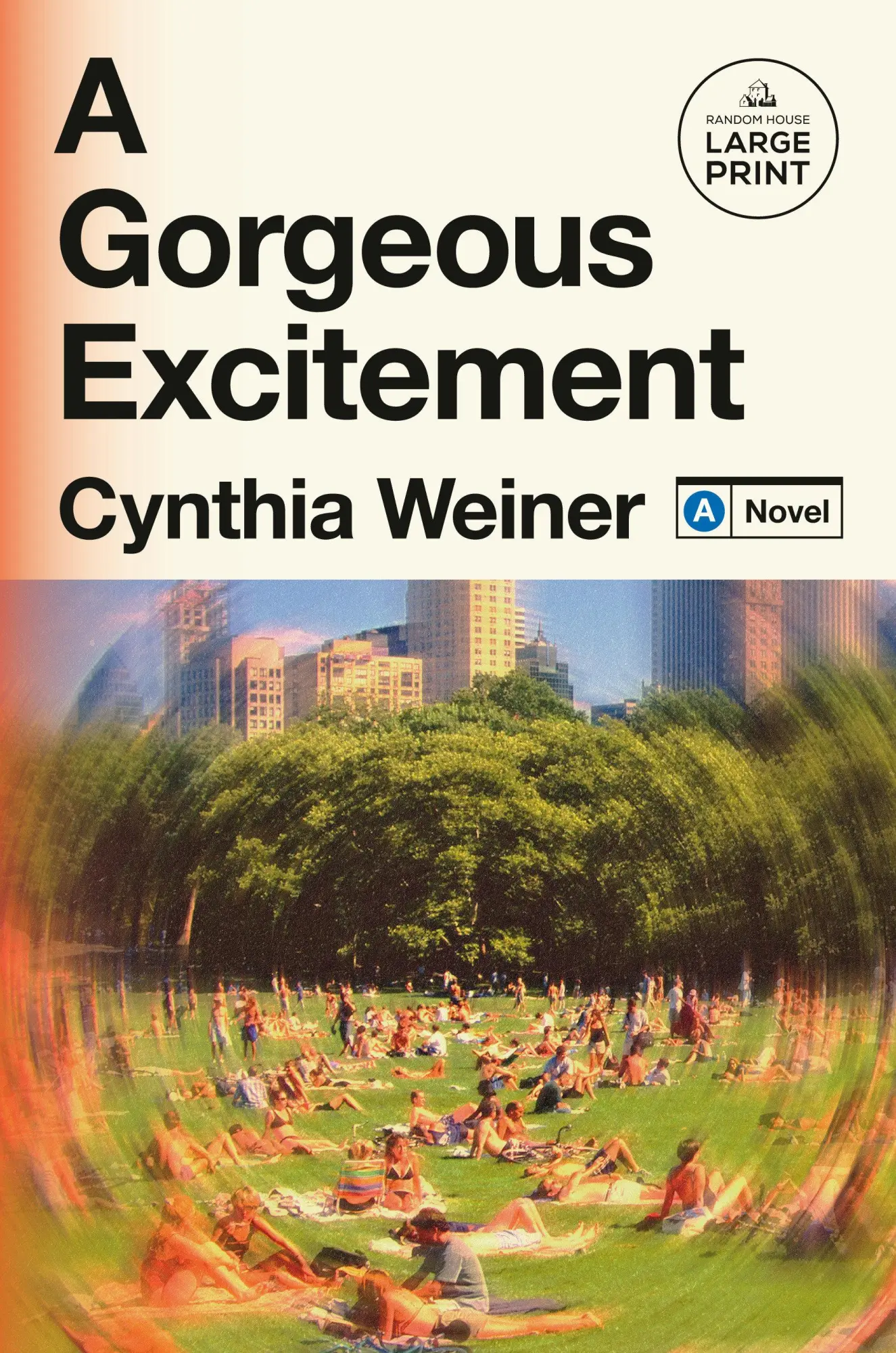 Cover: 9798217070442 | A Gorgeous Excitement | Cynthia Weiner | Taschenbuch | Englisch | 2025