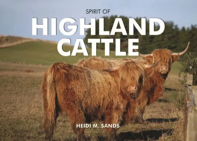 Cover: 9780857100542 | Spirit of Highland Cattle | Heidi M. Sands | Buch | Gebunden | 2011