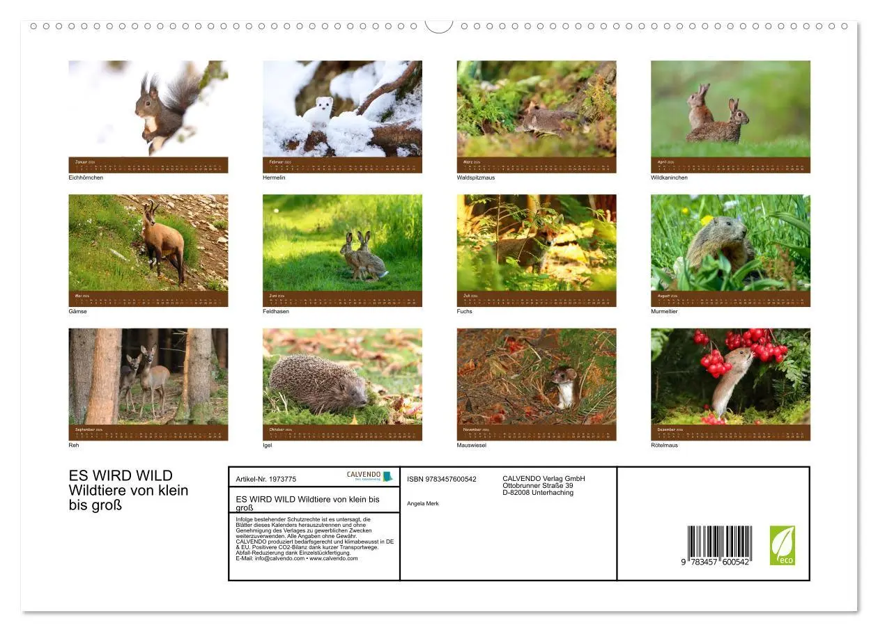 Bild: 9783457600542 | ES WIRD WILD Wildtiere von klein bis groß (hochwertiger Premium...