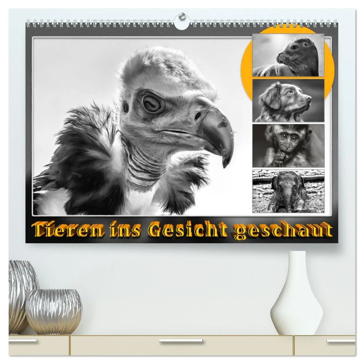 Cover: 9783457770542 | Tieren ins Gesicht geschaut (hochwertiger Premium Wandkalender 2026...