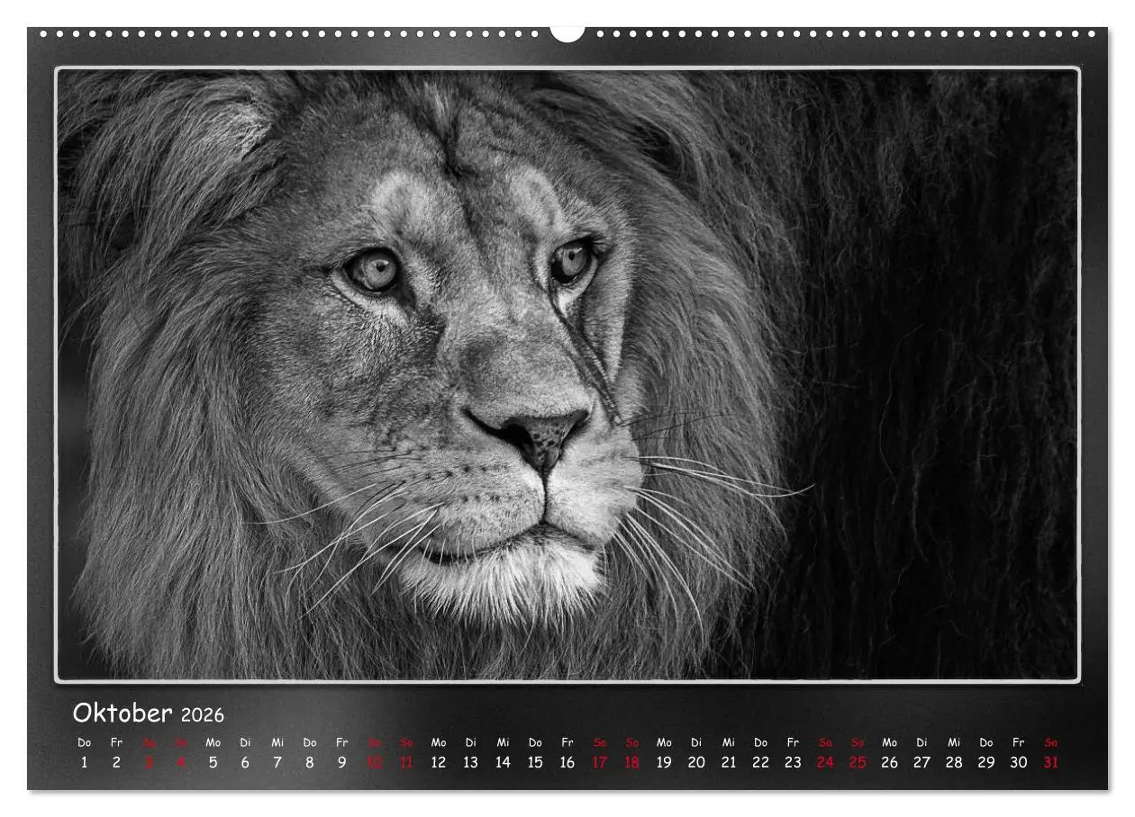 Bild: 9783457770542 | Tieren ins Gesicht geschaut (hochwertiger Premium Wandkalender 2026...