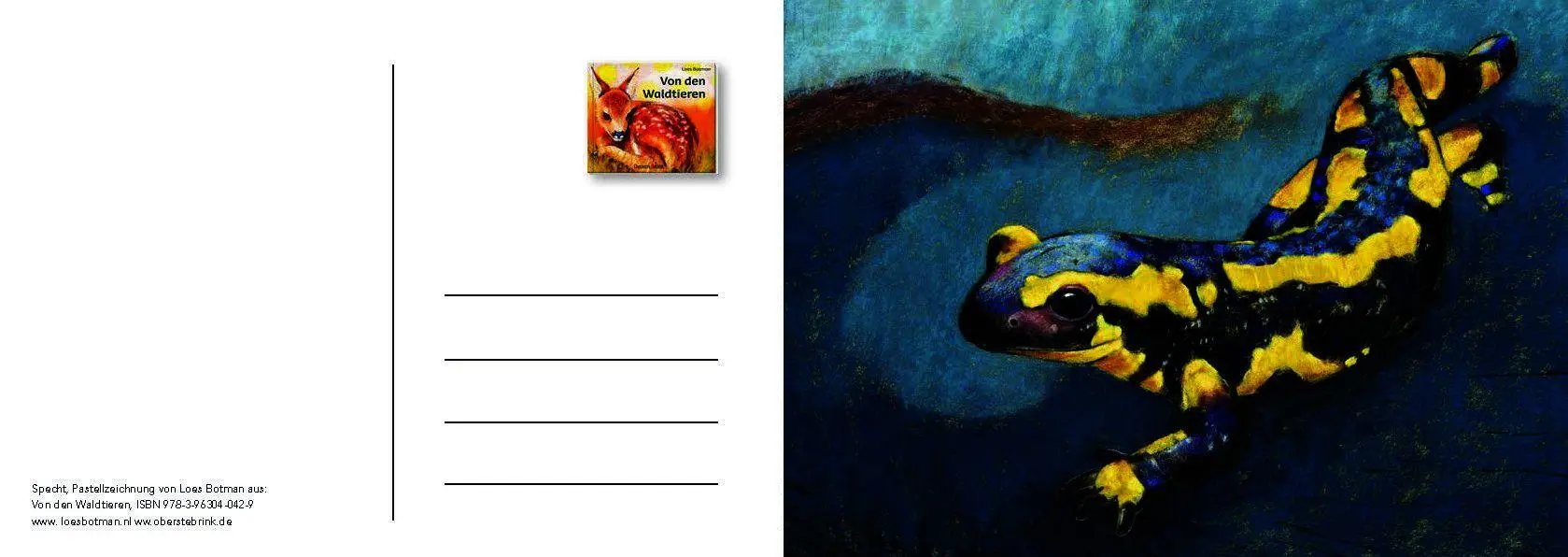 Bild: 9783963040542 | Von den Waldtieren - Ein Postkartenbuch | Loes Botman | Taschenbuch