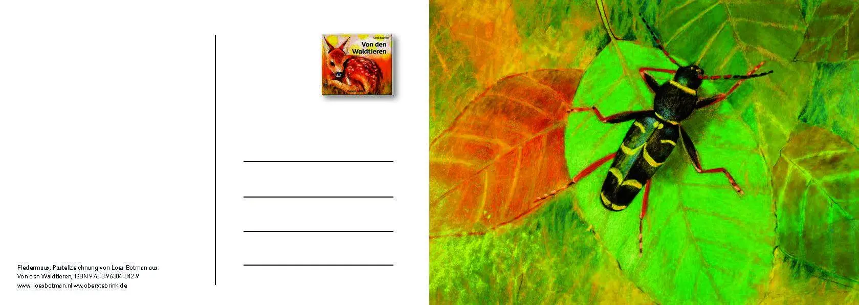 Bild: 9783963040542 | Von den Waldtieren - Ein Postkartenbuch | Loes Botman | Taschenbuch