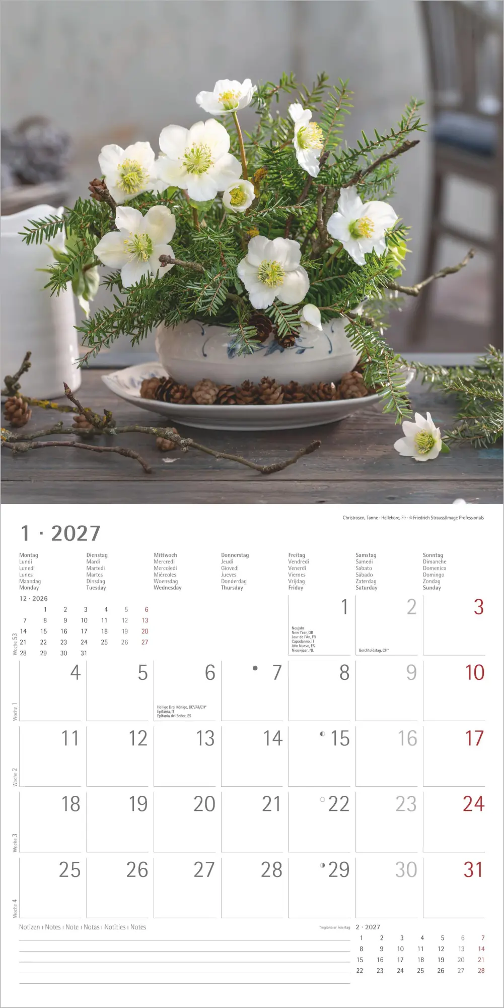 Bild: 4069095010642 | Blumenträume 2027 | Neumann Verlage GmbH &amp; Co KG | Kalender | 14 S.