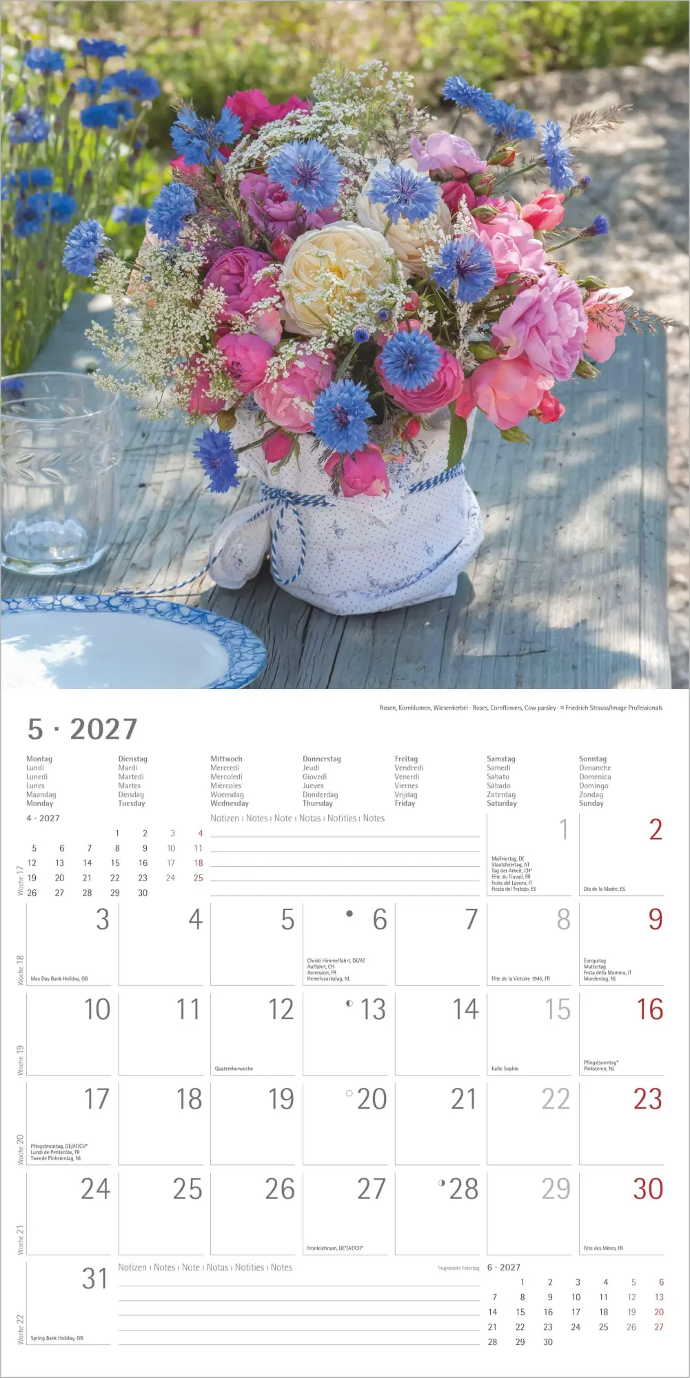 Bild: 4069095010642 | Blumenträume 2027 | Neumann Verlage GmbH &amp; Co KG | Kalender | 14 S.
