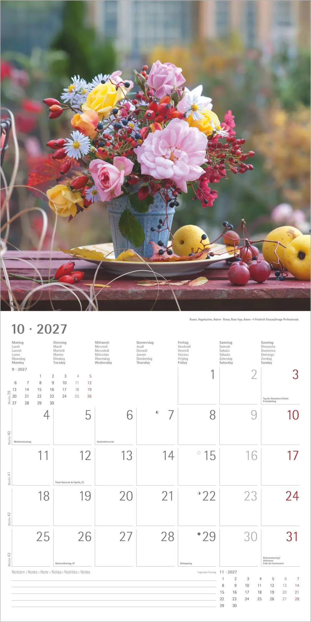 Bild: 4069095010642 | Blumenträume 2027 | Neumann Verlage GmbH &amp; Co KG | Kalender | 14 S.