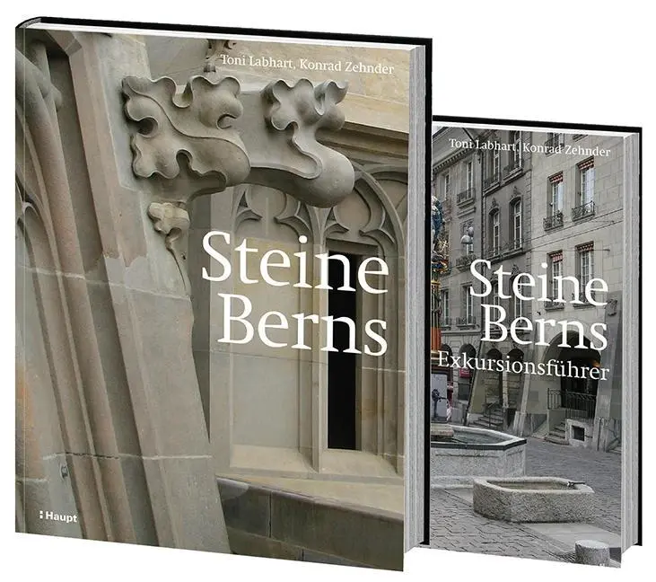 Cover: 9783258080642 | Steine Berns | Toni/Zehnder, Konrad Labhart | Taschenbuch | 276 S.