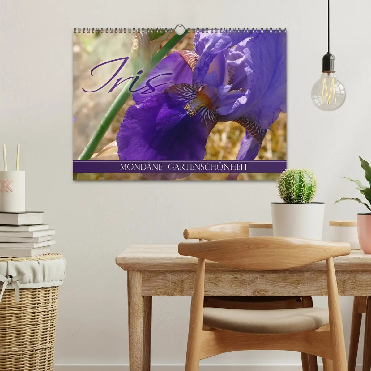 Bild: 9783457830642 | Iris - mondäne Gartenschönheit (Wandkalender 2026 DIN A3 quer),...