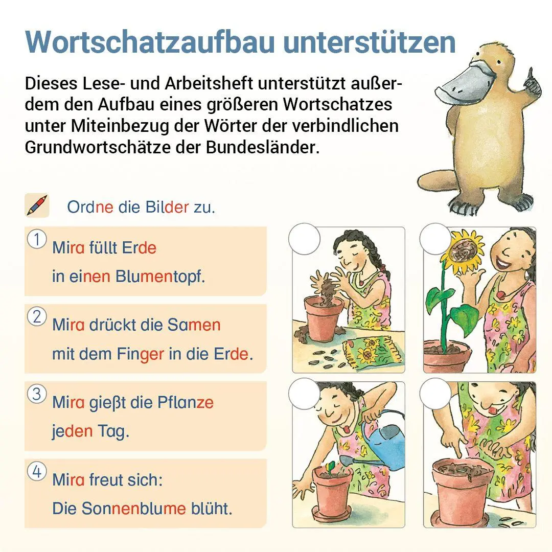 Bild: 9783619120642 | Lesen mit Rico Schnabel, Heft 4: Vom Satz zum Text - silbierte Ausgabe