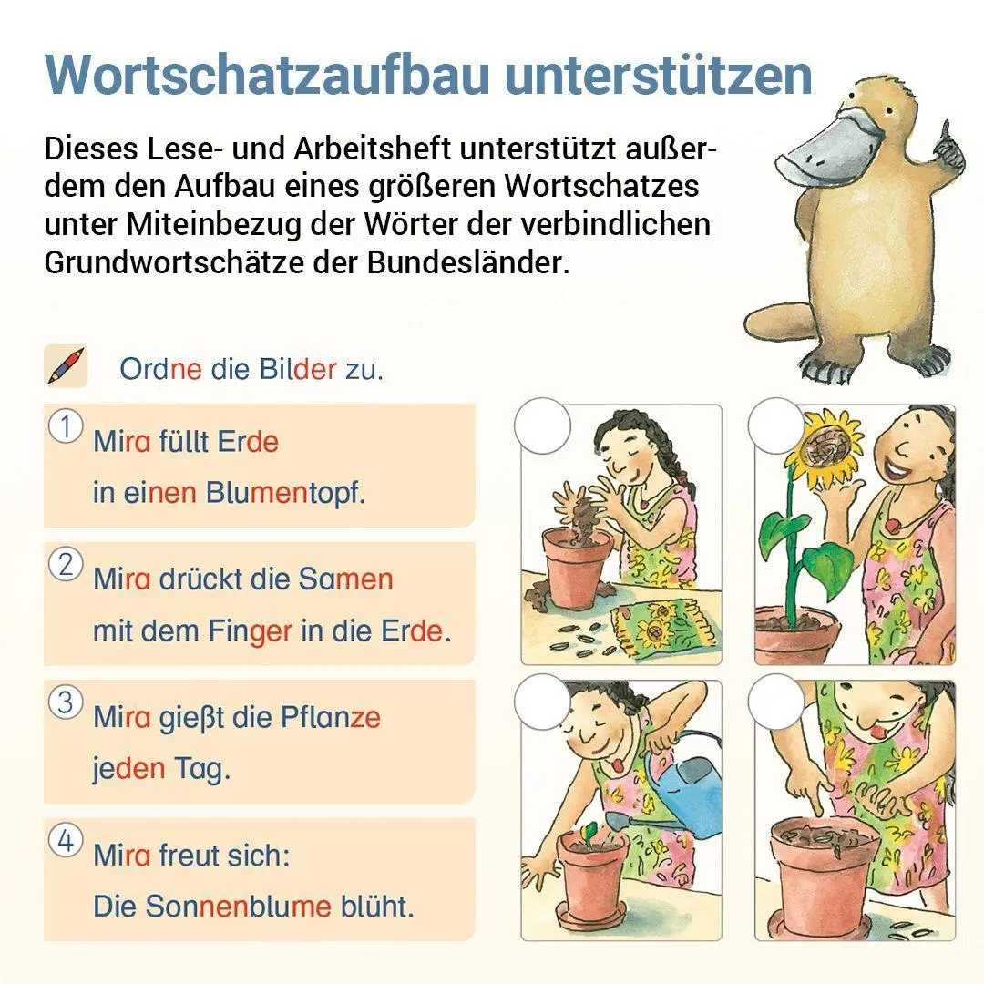 Bild: 9783619120642 | Lesen mit Rico Schnabel, Heft 4: Vom Satz zum Text - silbierte Ausgabe