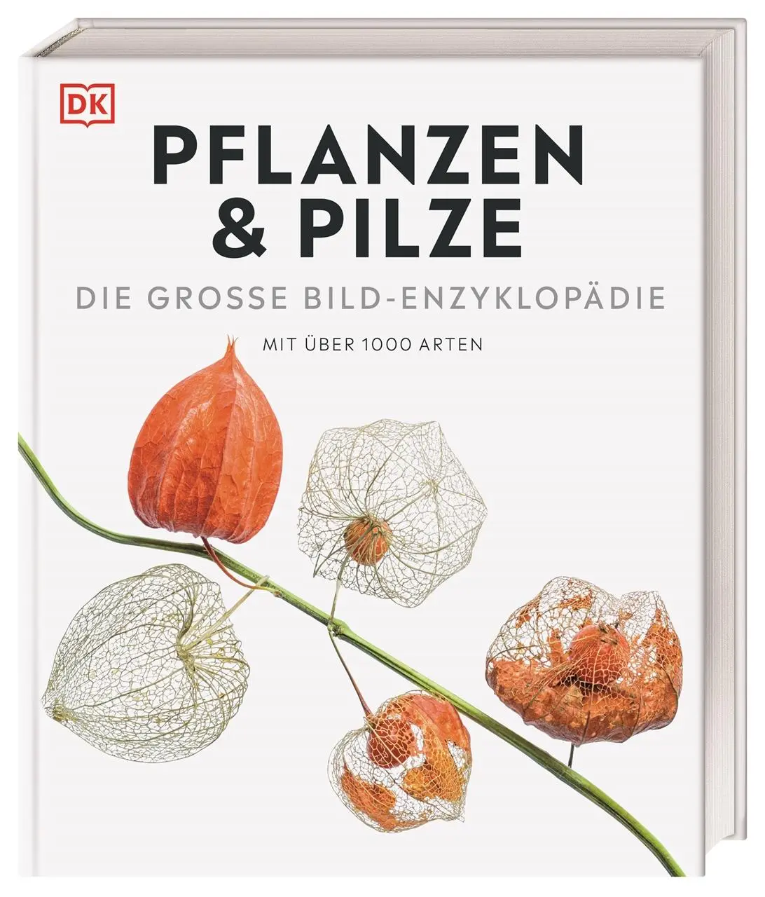 Cover: 9783831050642 | DK Bibliothek. Pflanzen &amp; Pilze | Lynne Boddy (u. a.) | Buch | 448 S.