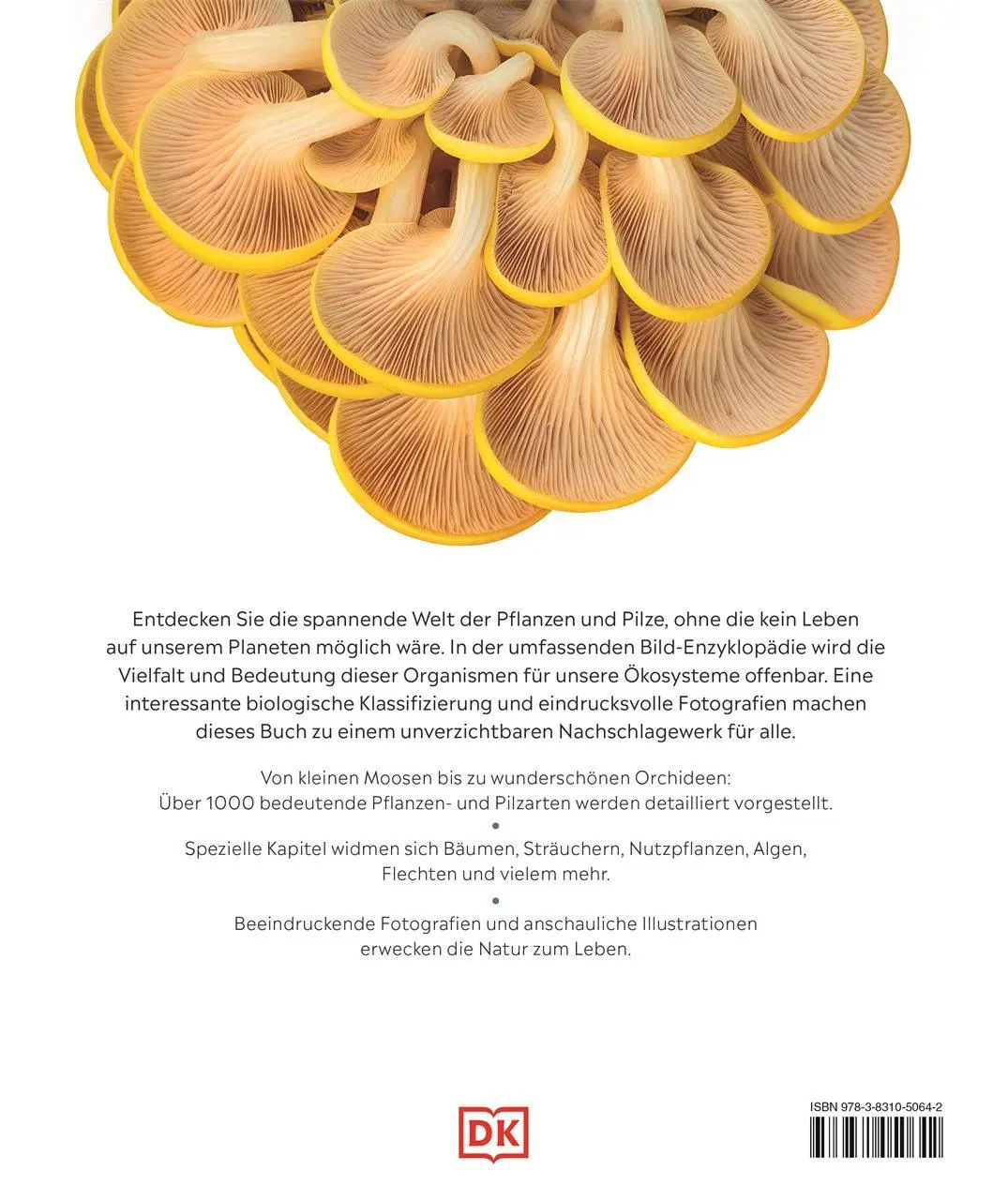 Rückseite: 9783831050642 | DK Bibliothek. Pflanzen &amp; Pilze | Lynne Boddy (u. a.) | Buch | 448 S.
