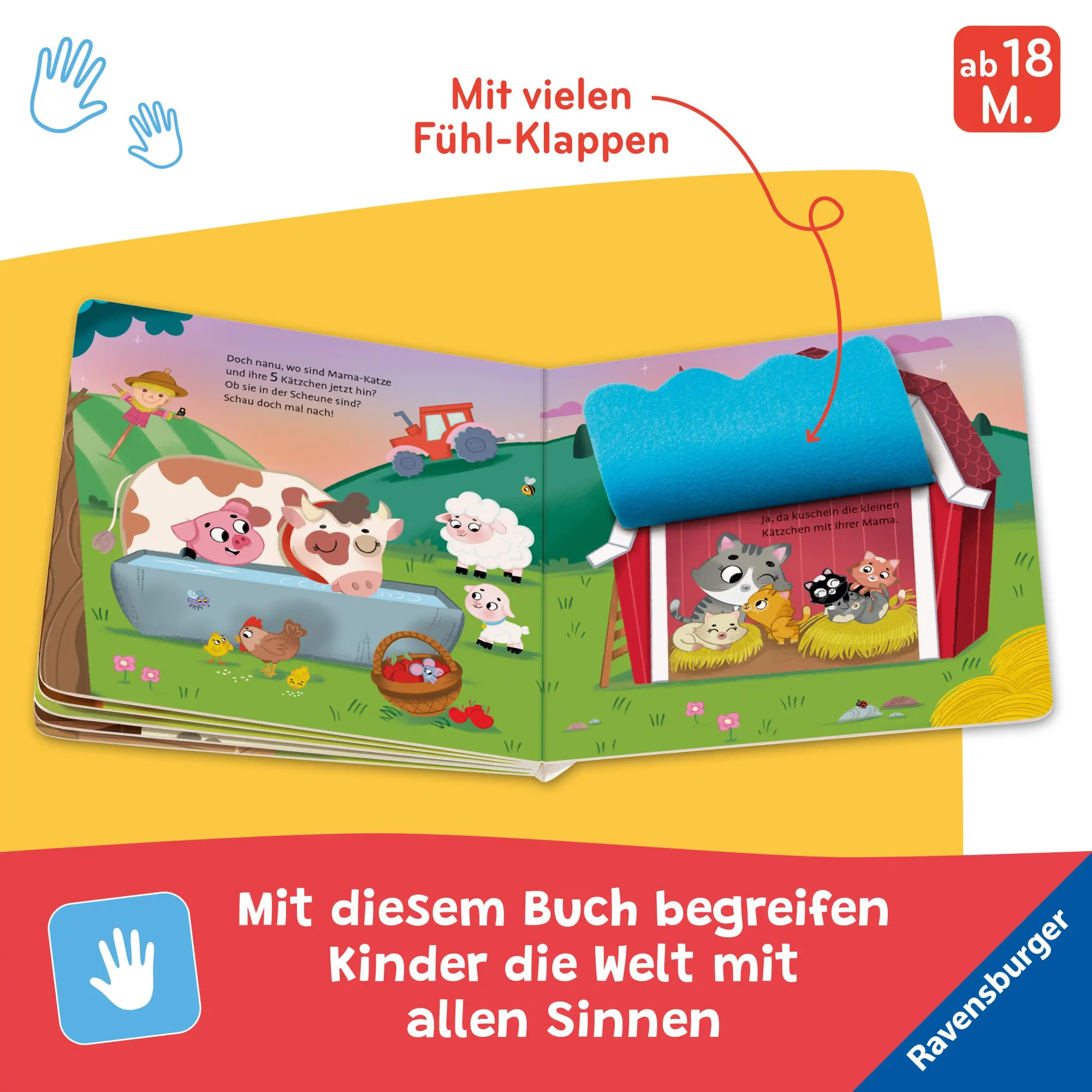 Bild: 9783473420742 | Wo seid ihr, kleine Kätzchen? | Maria Höck | Buch | 12 S. | Deutsch