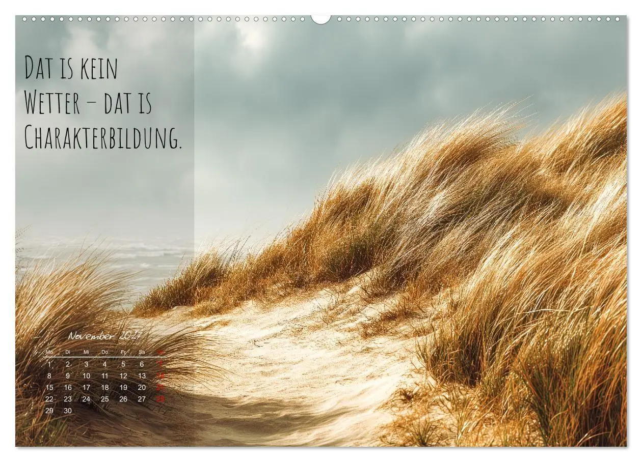 Bild: 9783516910742 | Moin Moin ist schon gesabbel - Norddeutscher Sprüche-Kalender...