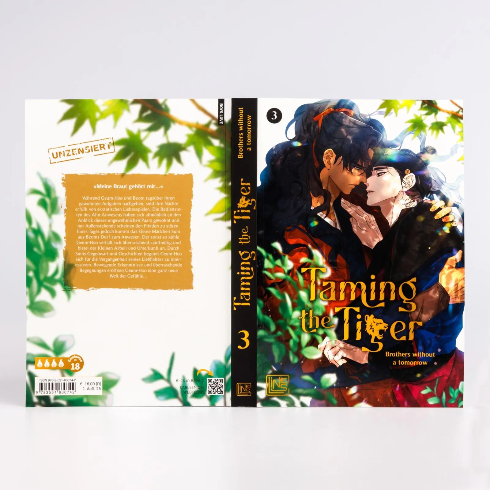 Bild: 9783551630742 | Taming the Tiger 3 | Brothers without a tomorrow | Taschenbuch | 2025