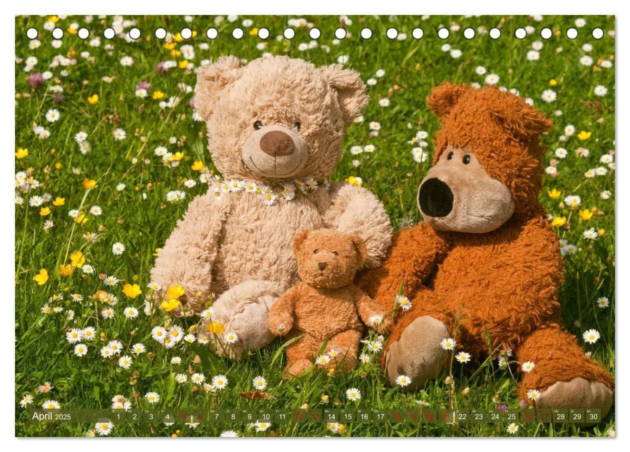 Bild: 9783435410842 | Kunterbunte Bärenwelt - Teddys (Tischkalender 2025 DIN A5 quer),...