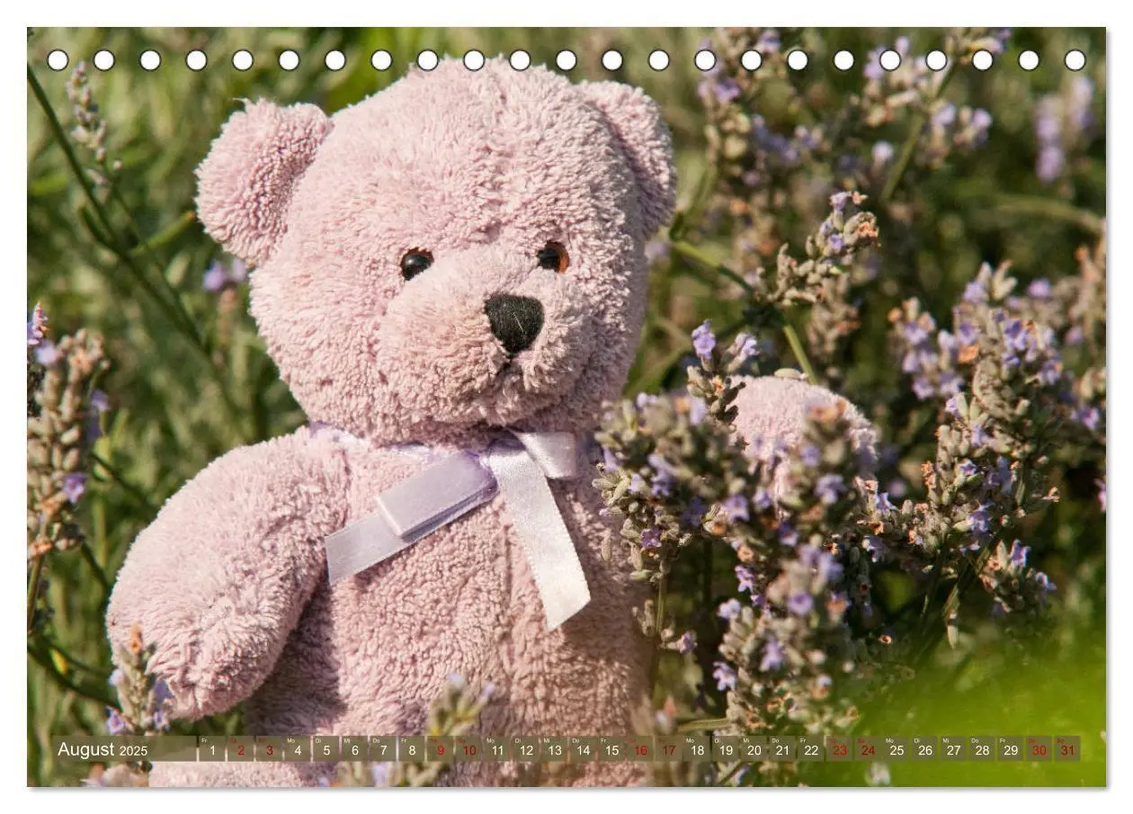 Bild: 9783435410842 | Kunterbunte Bärenwelt - Teddys (Tischkalender 2025 DIN A5 quer),...