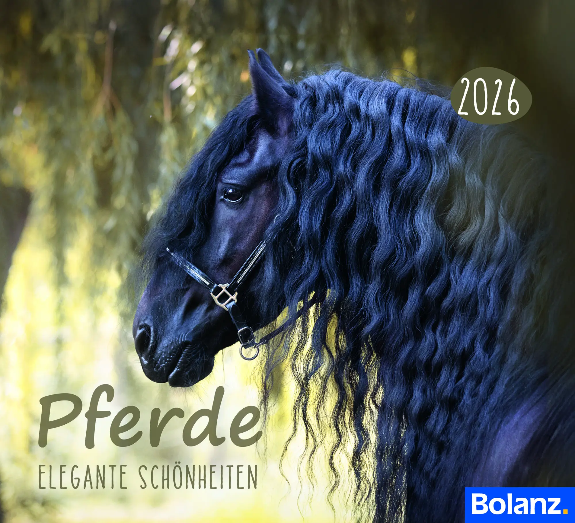 Cover: 9783690220842 | Pferde 2026 (Minikalender) | Elegante Schönheiten | Sonstiges | 2026
