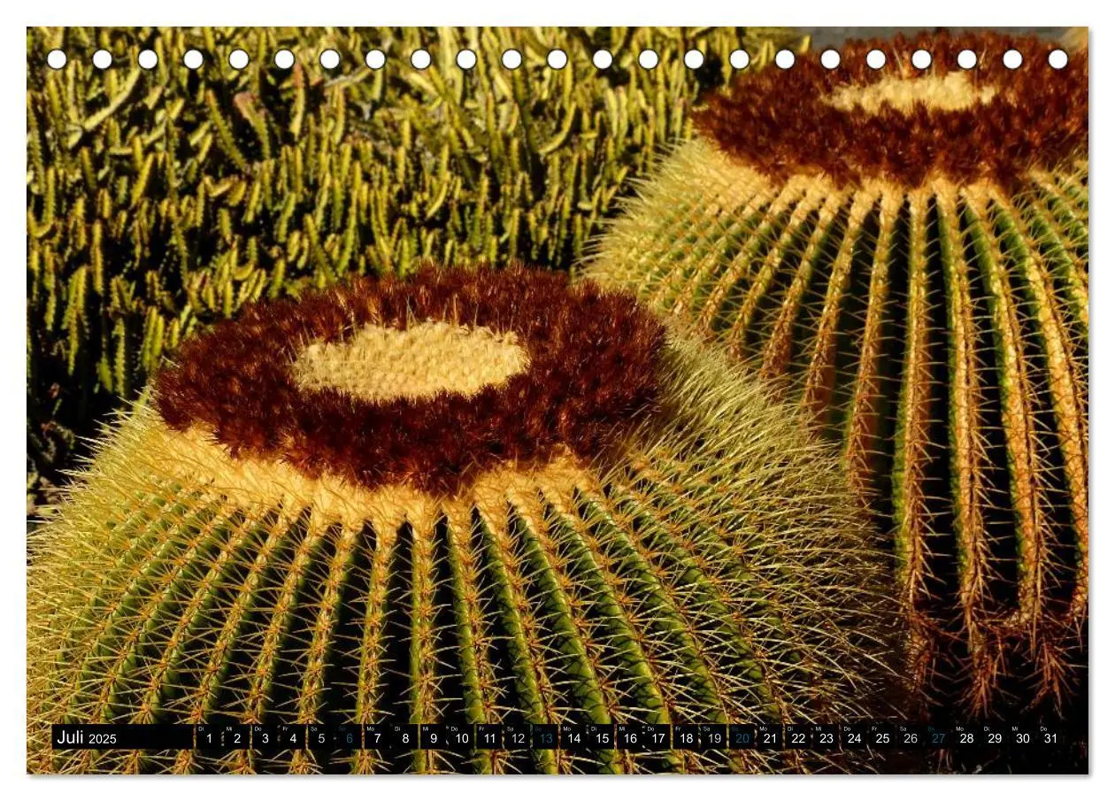 Bild: 9783435710942 | Vulkaninsel Lanzarote (Tischkalender 2025 DIN A5 quer), CALVENDO...