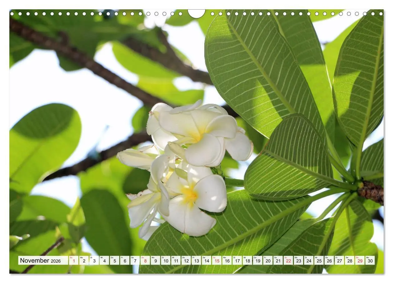 Bild: 9783457730942 | Hawaii the Aloha State (Wandkalender 2026 DIN A3 quer), CALVENDO...