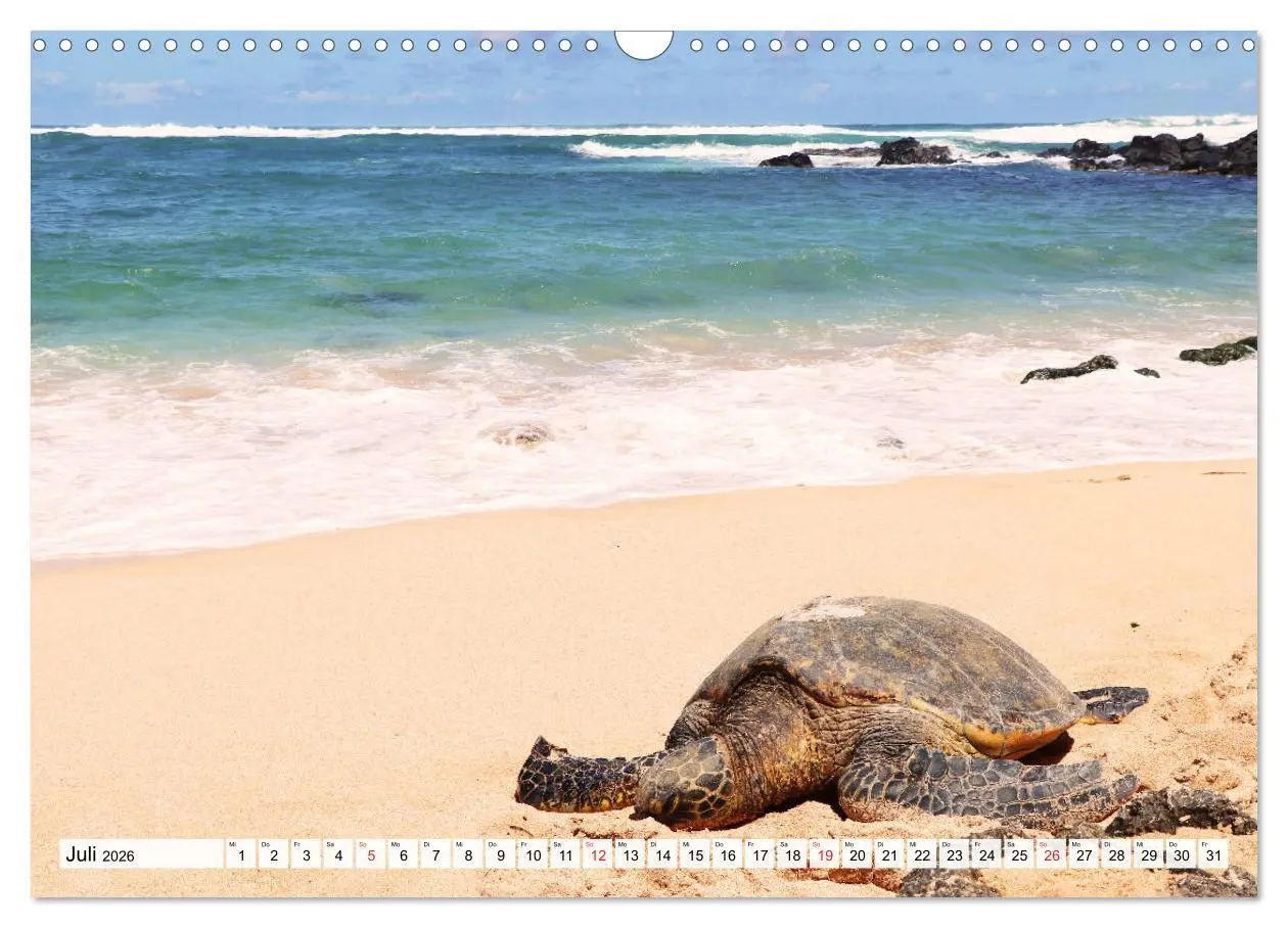 Bild: 9783457730942 | Hawaii the Aloha State (Wandkalender 2026 DIN A3 quer), CALVENDO...