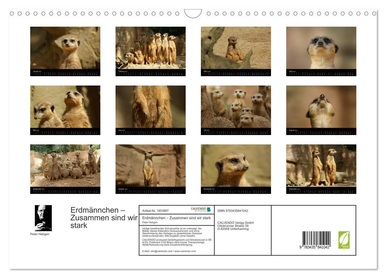 Bild: 9783435841042 | Erdmännchen - Zusammen sind wir stark (Wandkalender 2025 DIN A3...