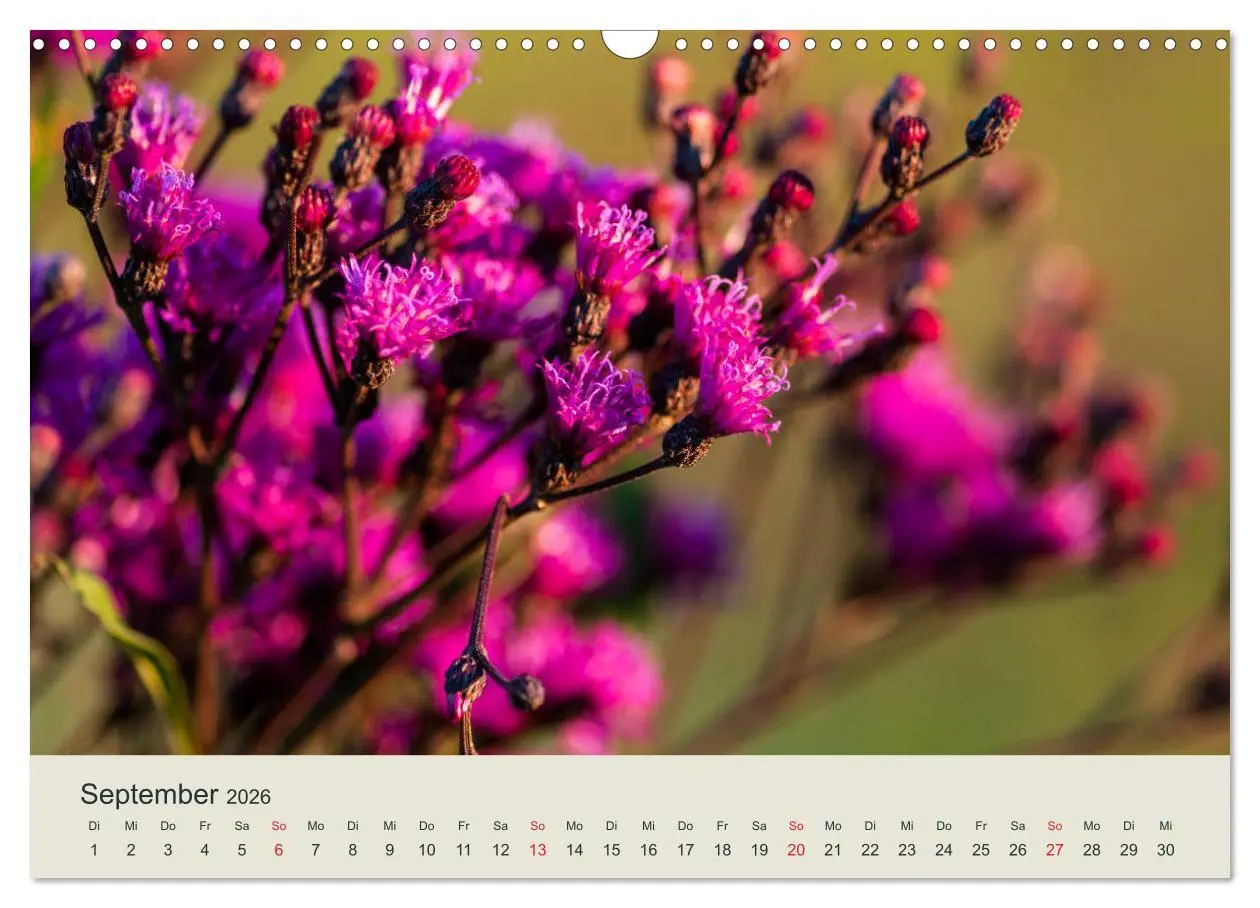 Bild: 9783457861042 | Appalachen - Süd (Wandkalender 2026 DIN A3 quer), CALVENDO...