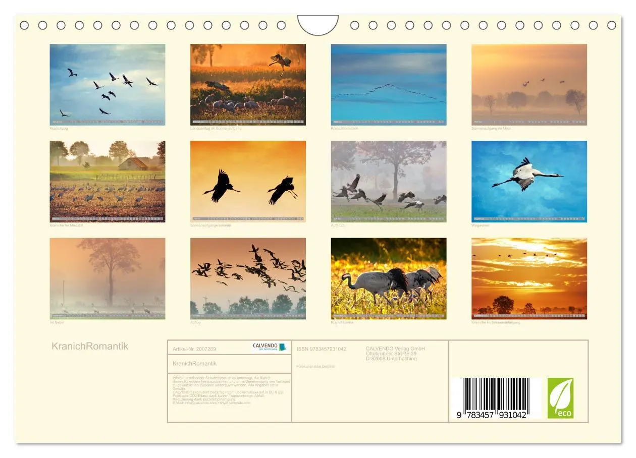 Bild: 9783457931042 | KranichRomantik (Wandkalender 2026 DIN A4 quer), CALVENDO...