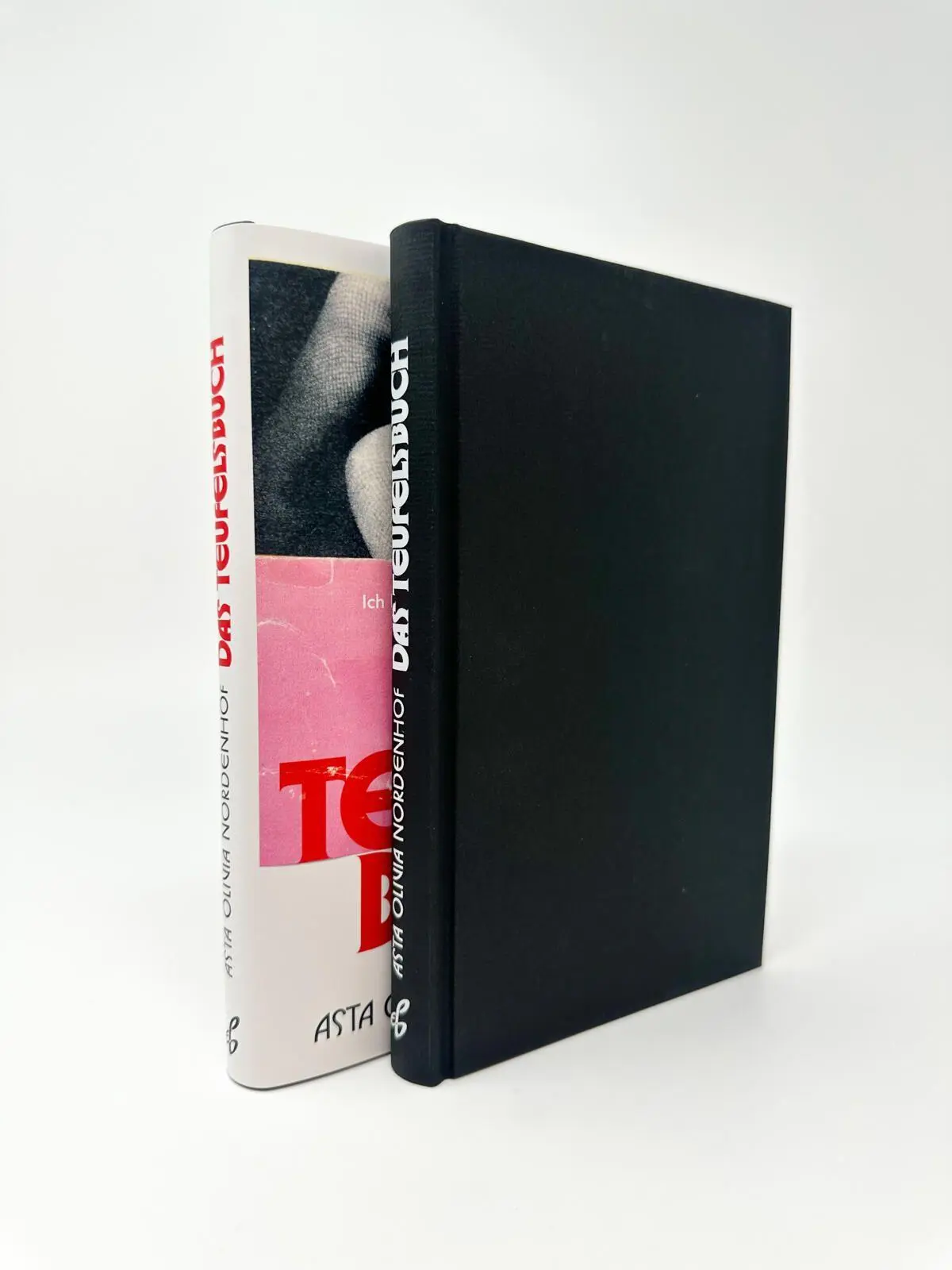 Bild: 9783546101042 | Das Teufelsbuch | Asta Olivia Nordenhof | Buch | 160 S. | Deutsch