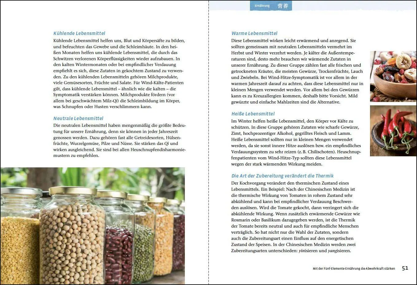 Bild: 9783962381042 | Heuschnupfen (Yang Sheng 3) | Johannes Bernot (u. a.) | Taschenbuch