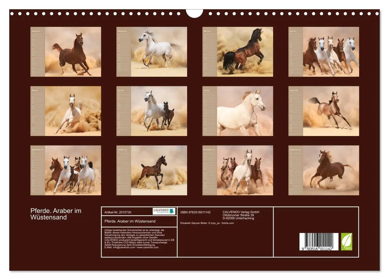 Bild: 9783516011142 | Pferde. Araber im Wüstensand (Wandkalender 2026 DIN A3 quer),...
