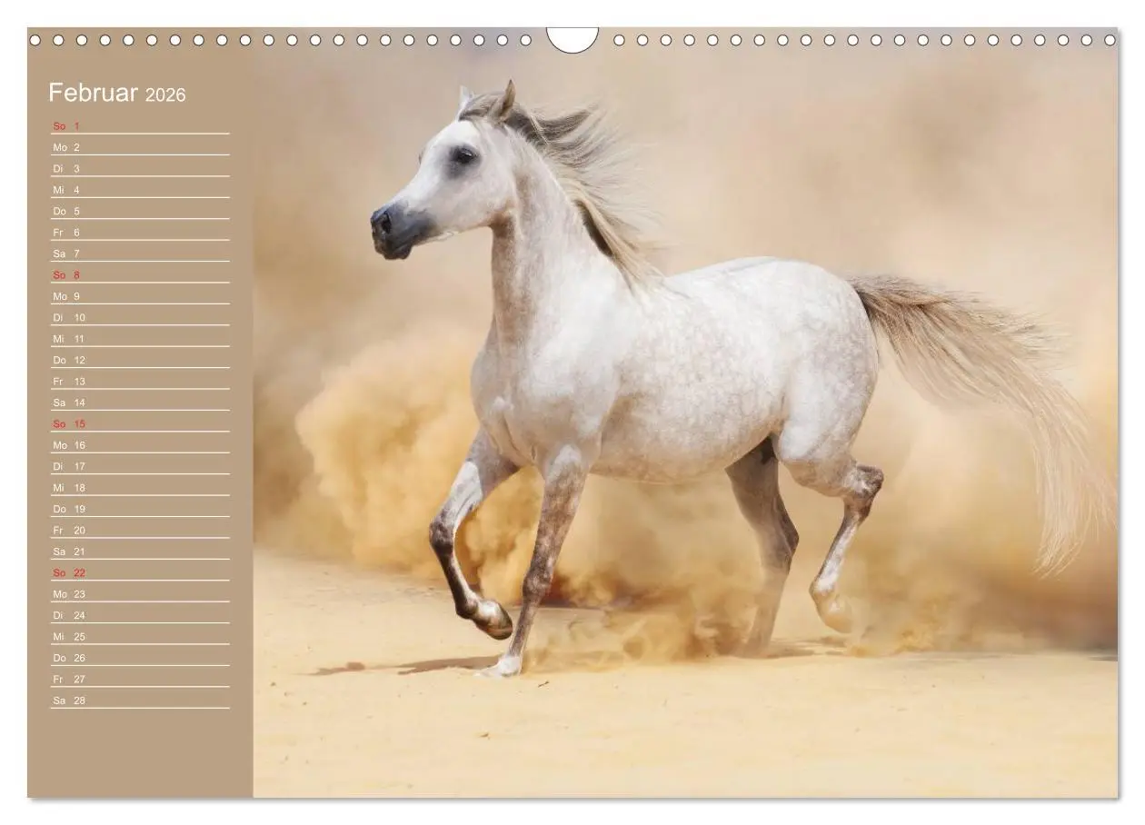 Bild: 9783516011142 | Pferde. Araber im Wüstensand (Wandkalender 2026 DIN A3 quer),...