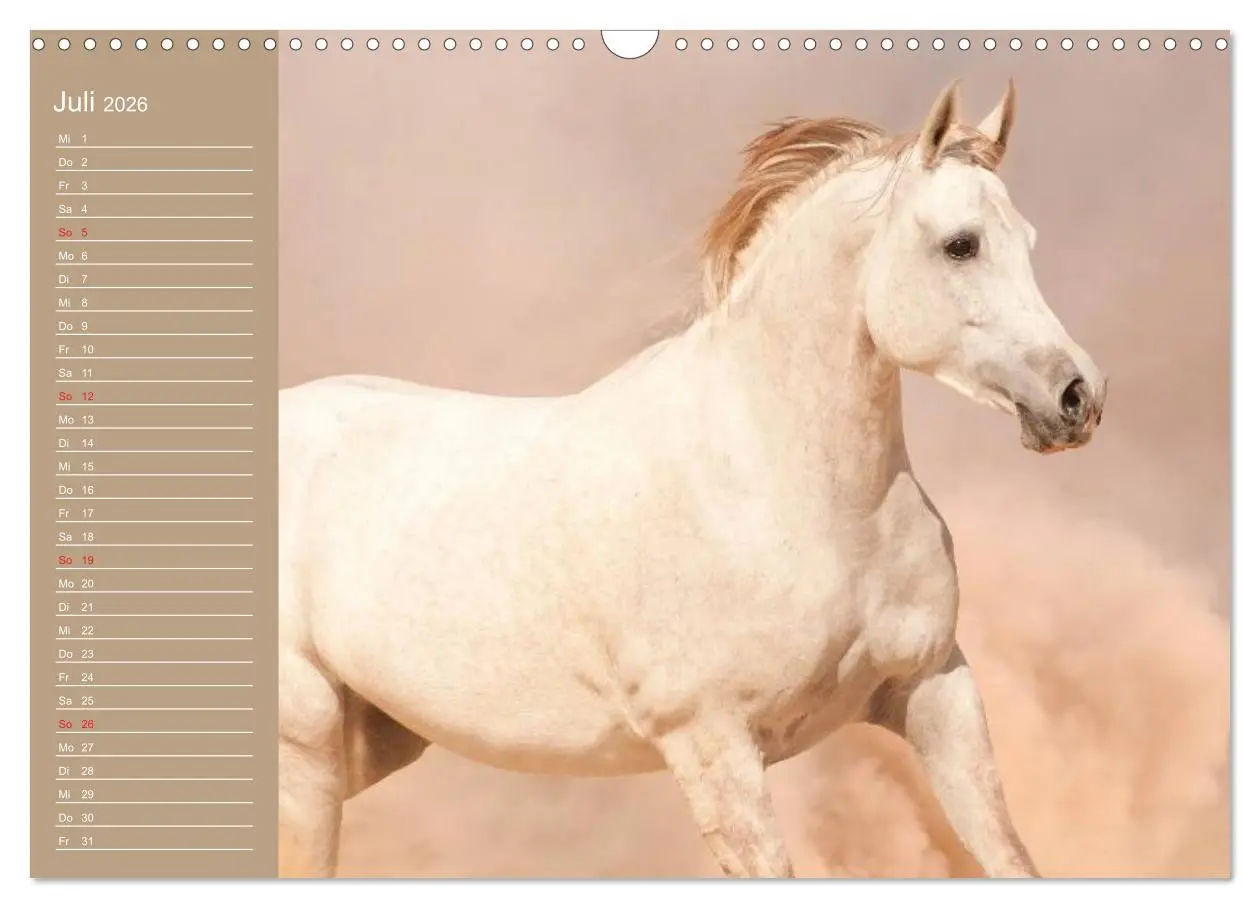Bild: 9783516011142 | Pferde. Araber im Wüstensand (Wandkalender 2026 DIN A3 quer),...