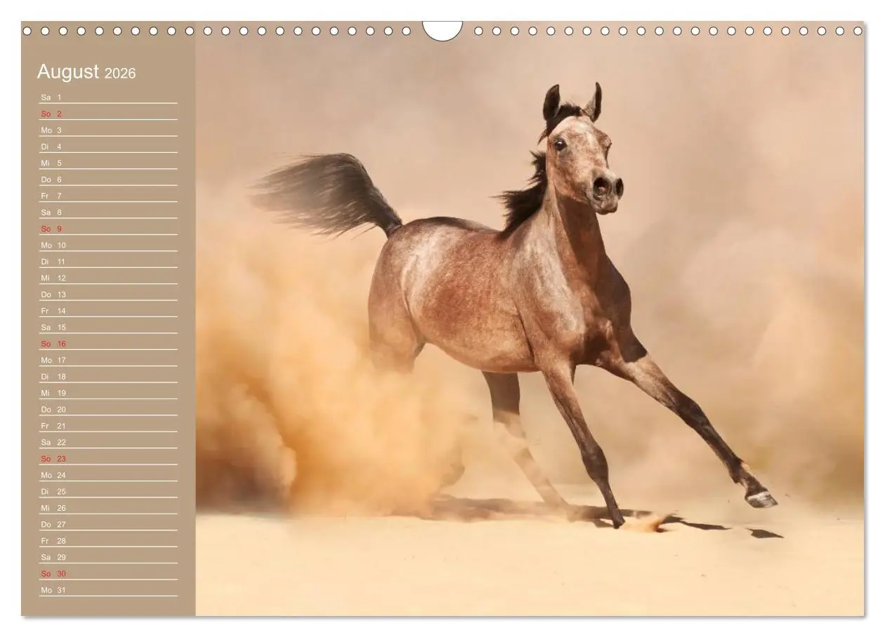 Bild: 9783516011142 | Pferde. Araber im Wüstensand (Wandkalender 2026 DIN A3 quer),...