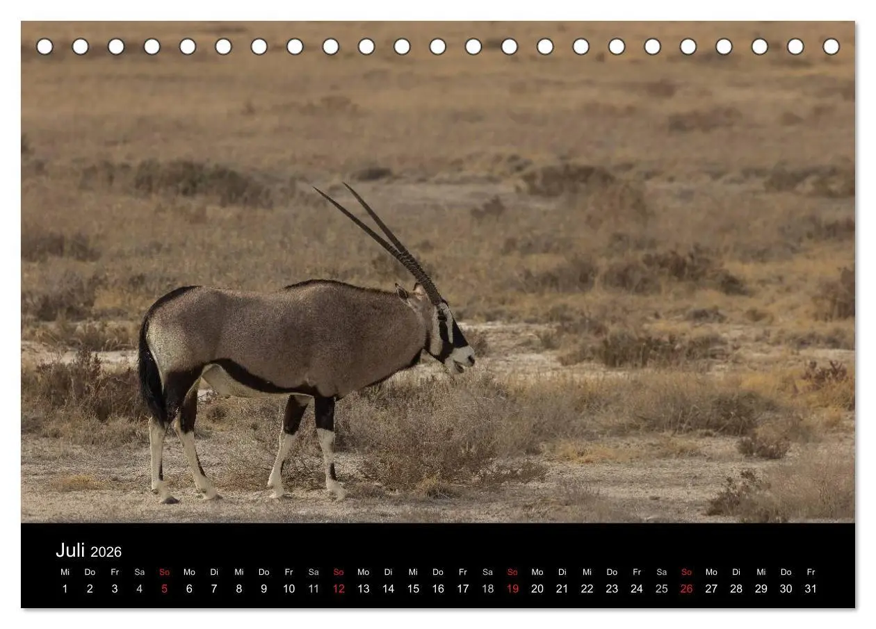 Bild: 9783516171242 | Wunderschönes Namibia (Tischkalender 2026 DIN A5 quer), CALVENDO...