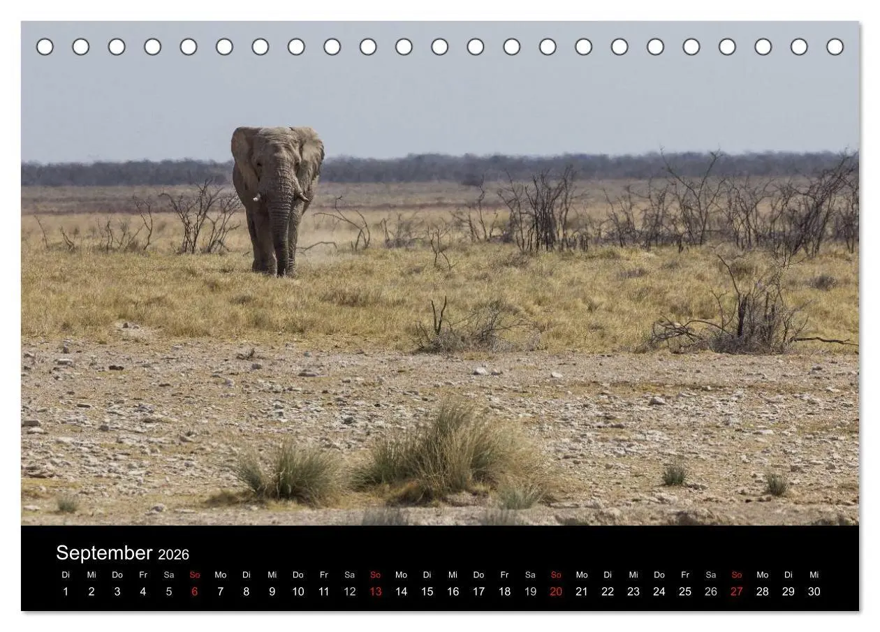 Bild: 9783516171242 | Wunderschönes Namibia (Tischkalender 2026 DIN A5 quer), CALVENDO...
