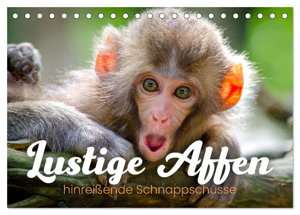 Cover: 9783457381342 | Lustige Affen - hinreißende Schnappschüsse (Tischkalender 2026 DIN...