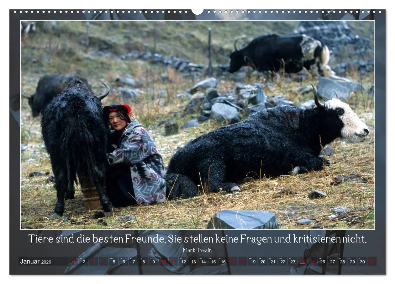 Bild: 9783457831342 | Facettenreiches Tibet (Wandkalender 2026 DIN A2 quer), CALVENDO...