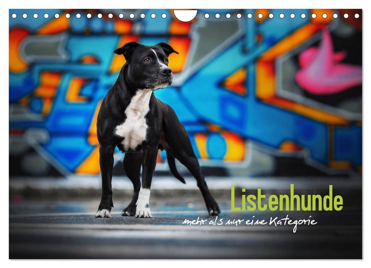 Cover: 9783435351442 | Listenhunde - mehr als nur eine Kategorie (Wandkalender 2025 DIN A4...