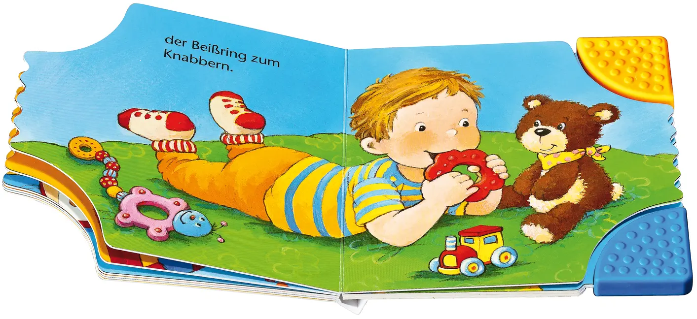 Bild: 9783473421442 | Mein erstes Buch zum Anbeißen | Regina Schwarz | Buch | 14 S. | 2025