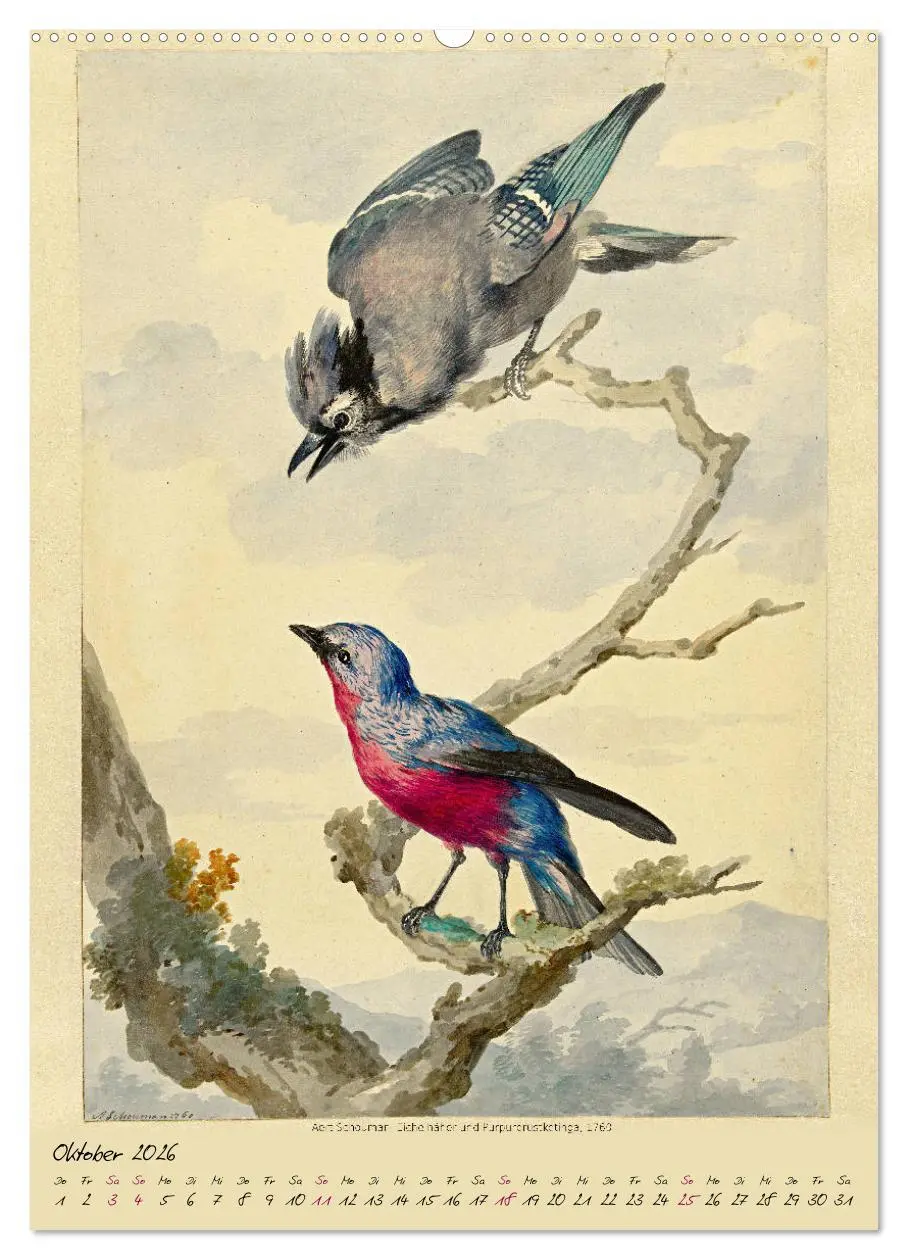 Bild: 9783516391442 | Aert Schouman. VÖGEL (hochwertiger Premium Wandkalender 2026 DIN A2...
