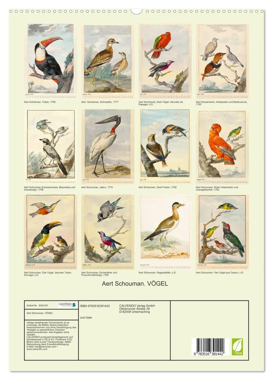 Bild: 9783516391442 | Aert Schouman. VÖGEL (hochwertiger Premium Wandkalender 2026 DIN A2...